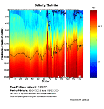 Salinity