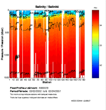 Salinity