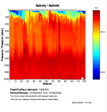 Salinity