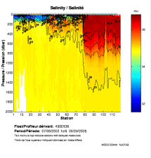 Salinity