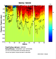 Salinity