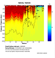 Salinity