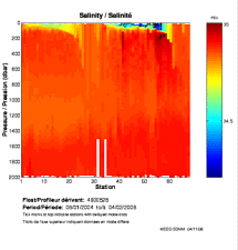 Salinity