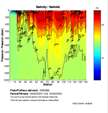 Salinity