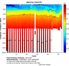 Salinity