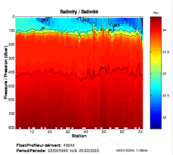 Salinity