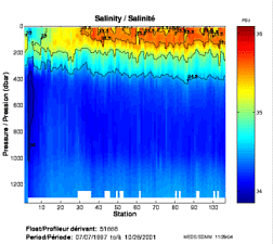 Salinity