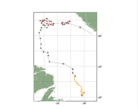 Surface Drift Track