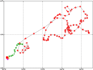 Surface Drift Track