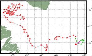 Surface Drift Track